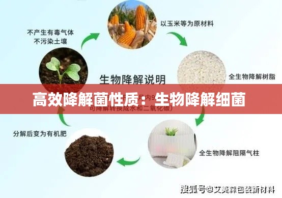 xiucairenqingzhibanzhang 第4页