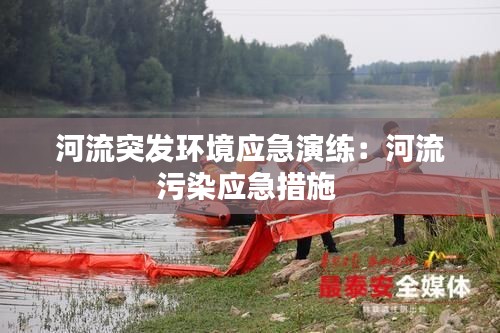寥若晨星 第3页