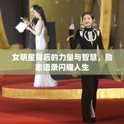 女明星背后的力量与智慧,励志语录闪耀人生