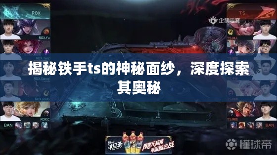 揭秘铁手ts的神秘面纱，深度探索其奥秘