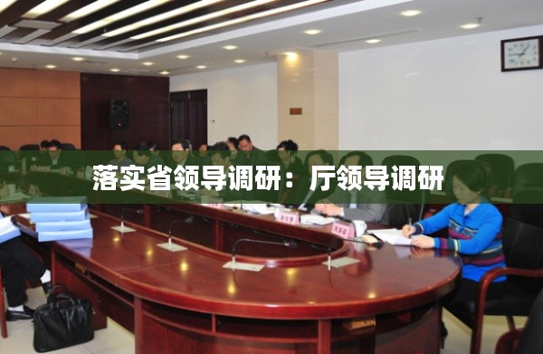 落实省领导调研：厅领导调研 