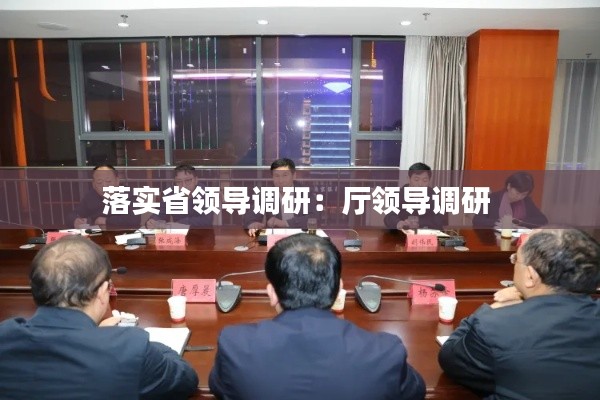 落实省领导调研:厅领导调研