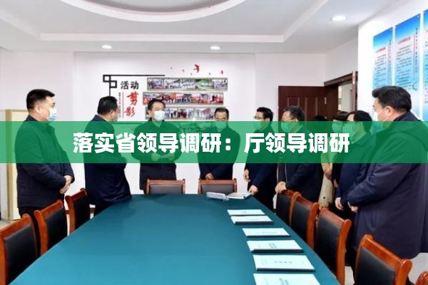 落实省领导调研:厅领导调研