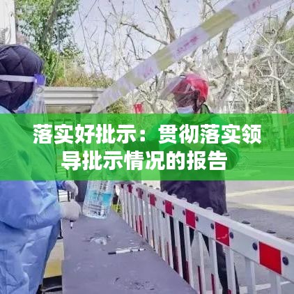 落实好批示：贯彻落实领导批示情况的报告 