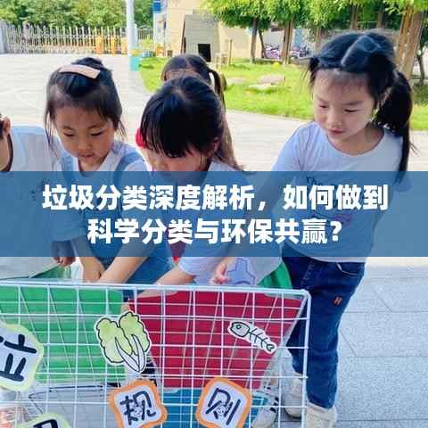 垃圾分类深度解析,如何做到科学分类与环保共赢?