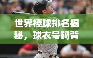世界棒球排名揭秘,球衣号码背后的荣誉与传奇故事