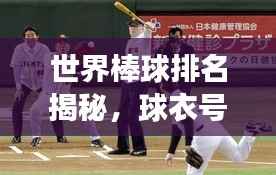 世界棒球排名揭秘,球衣号码背后的荣誉与传奇故事