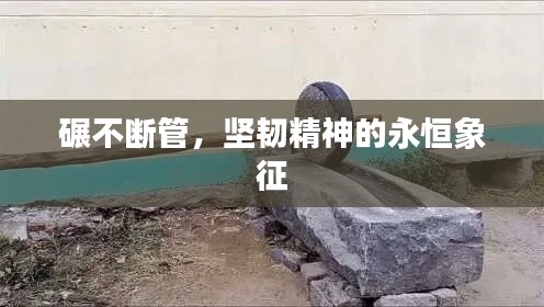 碾不断管,坚韧精神的永恒象征