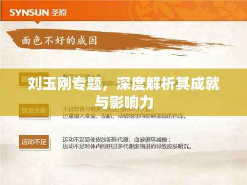 刘玉刚专题,深度解析其成就与影响力