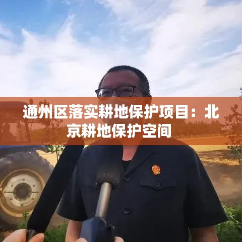 自作主张 第2页