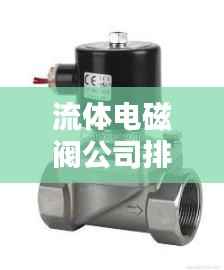 流体电磁阀公司排名揭秘,行业影响力不容小觑
