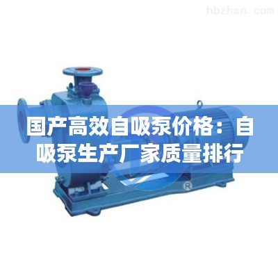 国产高效自吸泵价格:自吸泵生产厂家质量排行榜