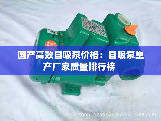 国产高效自吸泵价格:自吸泵生产厂家质量排行榜
