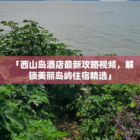 「西山岛酒店最新攻略视频，解锁美丽岛屿住宿精选」