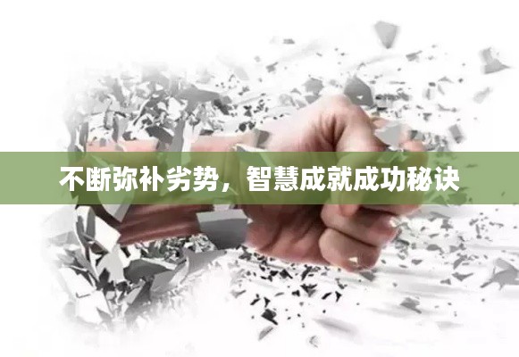不断弥补劣势，智慧成就成功秘诀