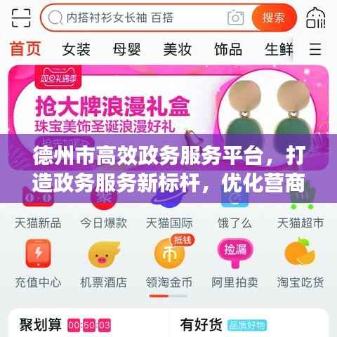 德州市高效政务服务平台,打造政务服务新标杆,优化营商环境新典范