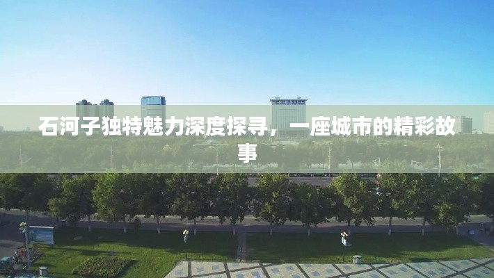 石河子独特魅力深度探寻，一座城市的精彩故事