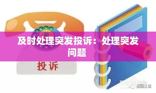 及时处理突发投诉:处理突发问题