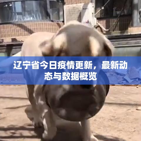 物稀为贵 第2页