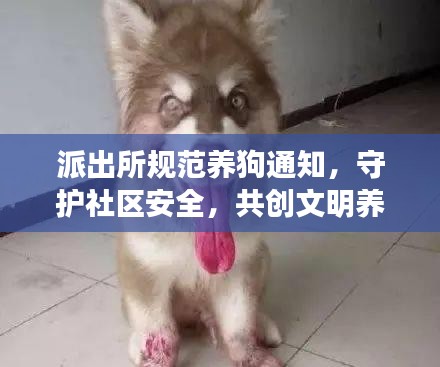 派出所规范养狗通知，守护社区安全，共创文明养犬新风尚