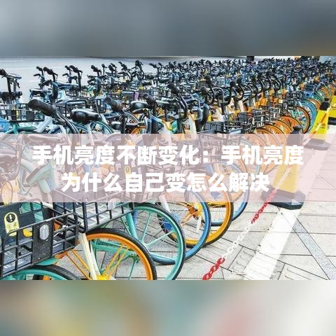 林下风范 第2页