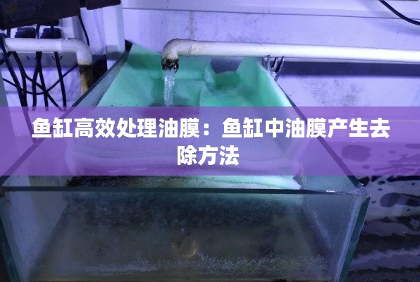 克勤克俭 第2页