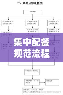 集中配餐规范流程图：集中配餐餐饮公司规范 