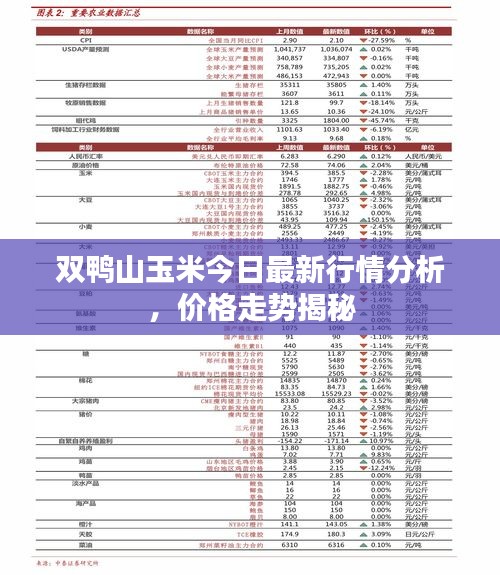 双鸭山玉米今日最新行情分析，价格走势揭秘
