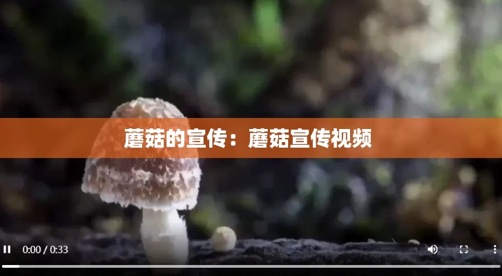 富贵凝香 第2页