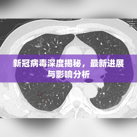 新冠病毒深度揭秘，最新进展与影响分析