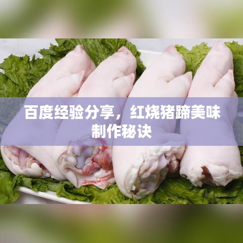 囊萤映雪 第2页