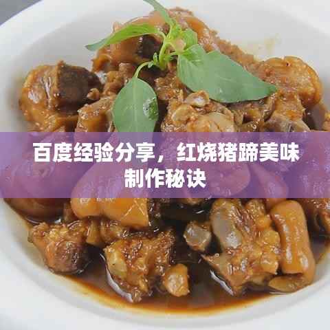 百度经验分享,红烧猪蹄美味制作秘诀