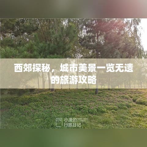 贵不可言 第2页