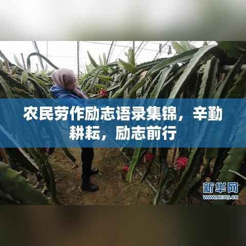农民劳作励志语录集锦,辛勤耕耘,励志前行