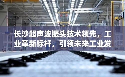 长沙超声波振头技术领先，工业革新标杆，引领未来工业发展之路