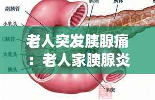 老人突发胰腺痛:老人家胰腺炎很严重怎么回事