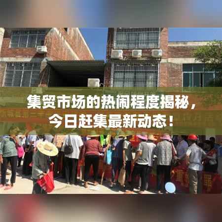 集贸市场的热闹程度揭秘,今日赶集最新动态!