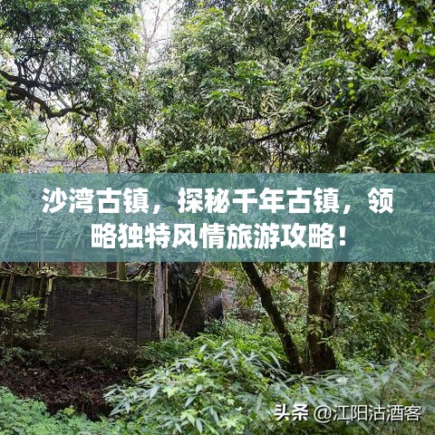 沙湾古镇，探秘千年古镇，领略独特风情旅游攻略！