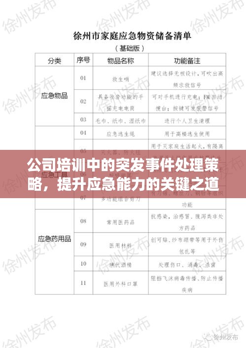 公司培训中的突发事件处理策略，提升应急能力的关键之道