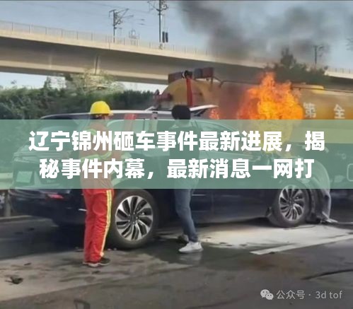 辽宁锦州砸车事件最新进展，揭秘事件内幕，最新消息一网打尽！