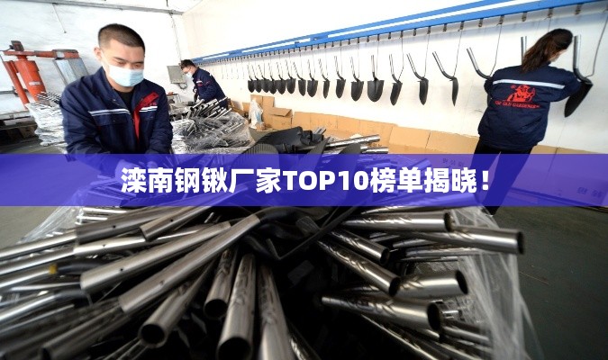 滦南钢锹厂家TOP10榜单揭晓！