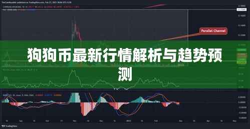 狗狗币最新行情解析与趋势预测