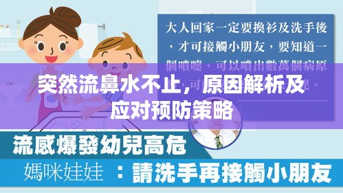 突然流鼻水不止，原因解析及应对预防策略