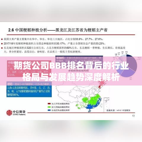期货公司BBB排名背后的行业格局与发展趋势深度解析