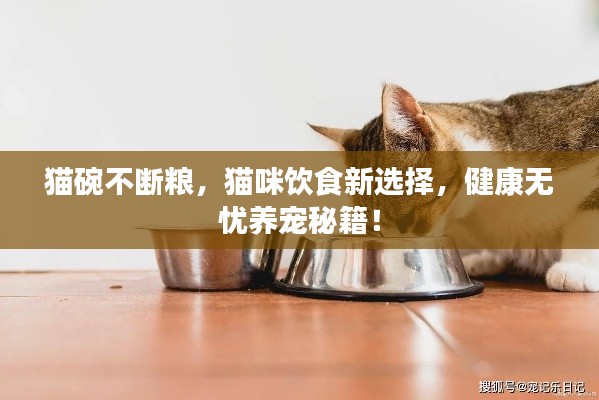 猫碗不断粮,猫咪饮食新选择,健康无忧养宠秘籍!