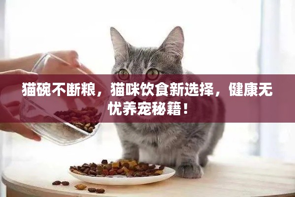 猫碗不断粮,猫咪饮食新选择,健康无忧养宠秘籍!