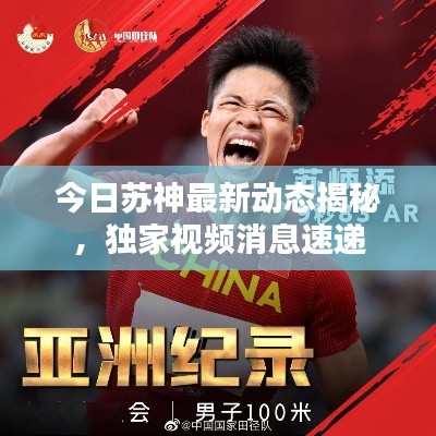 今日苏神最新动态揭秘,独家视频消息速递