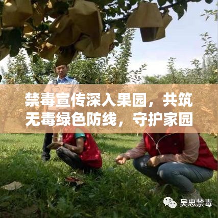 禁毒宣传深入果园，共筑无毒绿色防线，守护家园安宁