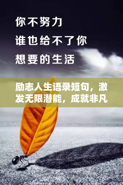 励志人生语录短句，激发无限潜能，成就非凡辉煌
