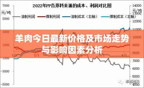 羊肉今日最新价格及市场走势与影响因素分析